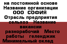 на постоянной основе › Название организации ­ ООО “СОФИЯ“ › Отрасль предприятия ­ сельхоз › Название вакансии ­ разнорабочий › Место работы ­ геленджик › Минимальный оклад ­ 25 000 - Краснодарский край, Геленджик г. Работа » Вакансии   